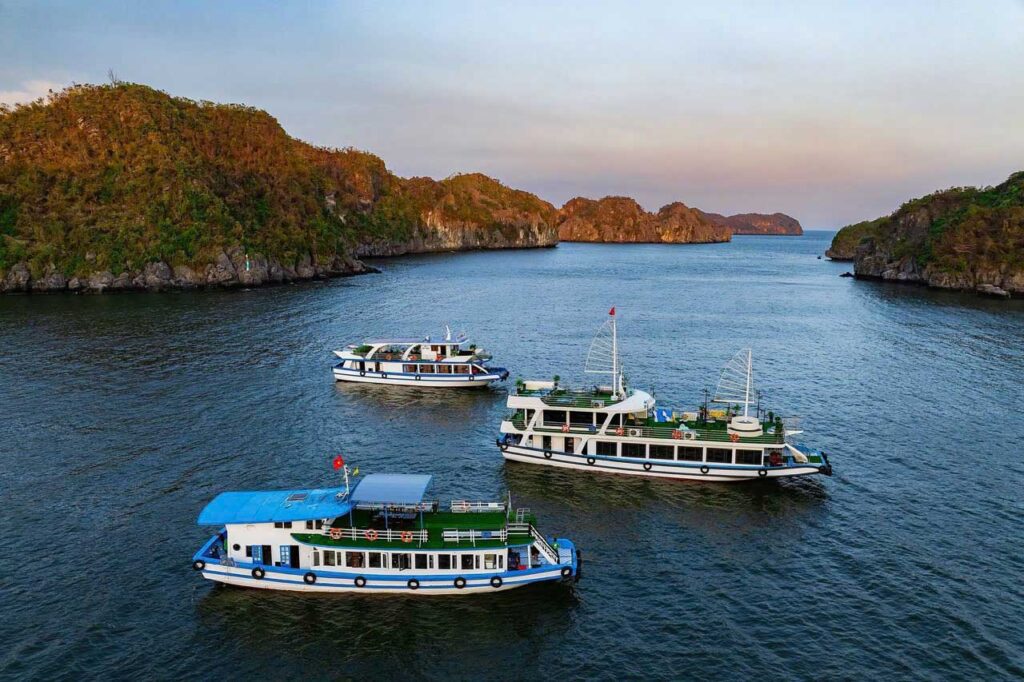 z5921868603158-d47302ff95e16595203d51c264519a7e